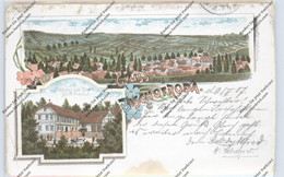 0-5901 BISCHOFRODA, Lithographie, Gasthof Zum Schwan, Ortsansicht, Eckknick - Bad Salzungen