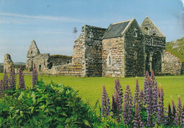 1782 - Schottland - Scotland , Isle Of Iona , Ruins Of The Benedictine Nunnery , Blumen , Ruine - Gelaufen 1993 - Ayrshire