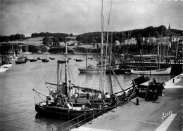 Douarnenez * Les Plomarc'h Et Le Port - Douarnenez