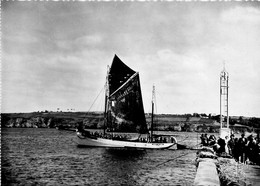 Douarnenez * Départ D'un Mauritanien - Douarnenez