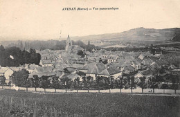 Avenay        51       Vue Panoramique       (voir Scan) - Autres & Non Classés