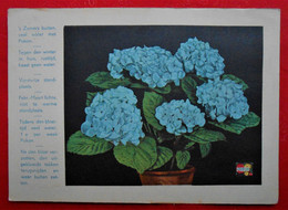 Carte Publicité Engrais POKON / H.P. BENDIEN Naarden/ Fleurs Hortensia / In Het NL - Publicités