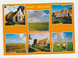 Ansichtkaart-postcard Mooi Ameland (NL) - Ameland