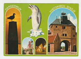 Ansichtkaart-postcard Historisch Stadje Harderwijk (NL) - Harderwijk