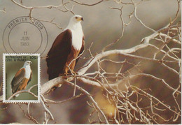 Cote D'Ivoire Carte Maximum Oiseaux 1983 Aigle 660 - Côte D'Ivoire (1960-...)