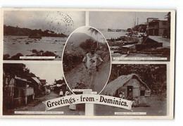 CPA Dominique - Greetings From Dominica - Marigot Roseau Portsmouth - Dominique