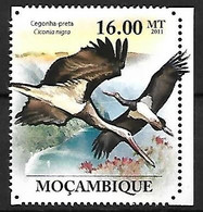 Mozambique - MNH ** 2011 :    Black Stork -   Ciconia Nigra - Storks & Long-legged Wading Birds