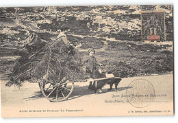 CPA Saint-Pierre Et Miquelon -Autre Attelage St Pierrais (Le Terreneuve) - Saint-Pierre E Miquelon