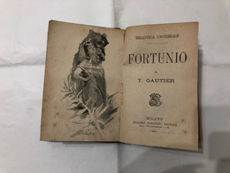 BIBLIOTECA UNIVERSALE ROMANZI FRANCESI 1885 FORTUNIO JETTATURA TEOFILO GAUTIER - Libri Antichi