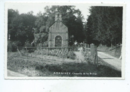 Amonines Chapelle De La Drève ( Mosa No 1314 ) - Erezée