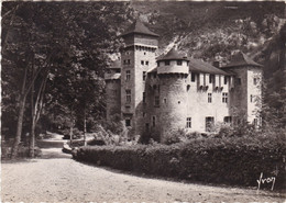 48. AUMONT AUBRAC. CPA. 2 CARTES .CHATEAU DE LAS CAZES. ANNEES 50. - Aumont Aubrac