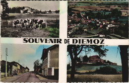 CPA Souvenir De DIÉMOZ (123894) - Diémoz