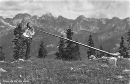 Joueur De Cor Des Alpes - ALPHORNBLÄSER - Horn