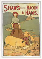 Shaws Old Bacon Limerick Irish Ham Advertising Postcard - Pubblicitari