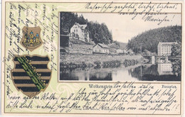 WOLKENSTEIN Erzgebirge Passepartout Gold Prägedruck Mit Wappen- Floss Platz 1.2.1910 Gelaufen - Wolkenstein