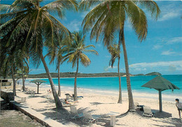 CPSM Antigua-Half Moon Bay Hotel  L85 - Antigua Und Barbuda