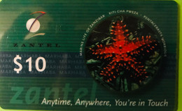 TANZANIE  -  ZANZIBAR  -  Zantel  -  Glossy  -  $ 10 - Tanzania