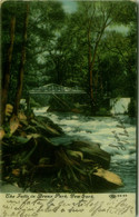 NEW YORK - THE FALLS IN BRONX PARK - 1910s ( BG10466) - Bronx