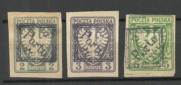 POLEN Poland 1919 Porto Postage Due Doplata, 3 Stamps * 1 Is Signed - Portomarken