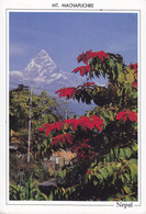 Nepal PPC Mount Mt. Machapuchre Seen From Pakhara 'Namaste' 1993 KARLSLUNDE Denmark (2 Scans) - Népal