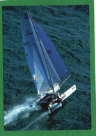 CARNAC  LE CATAMARANS EUROCAT BOUYGUES TELECOM 2003 CPM  IMPECCABLE - Voile