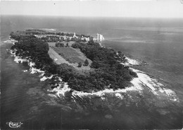 06-L'ILE SAINT-HONORAT- ABBAYE DE N-D DE LERINS- VUE AERIENNE - Cannes