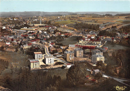 08-VIVIER-AU-COURT-VUE AERIENNE - Andere & Zonder Classificatie