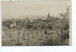 Sint Joris Weert Weert St. Georges Panorama - Oud-Heverlee