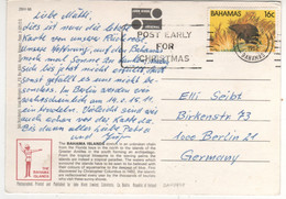 Beau Timbre , Stamp " Animal : Hutia " Sur Cp , Carte , Postcard Du 08/11/1982 - Bahamas (1973-...)