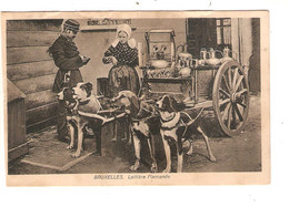 REF2528/ CP-PC Bruxelles Laitière Flamande Chiens Charrette Contrôle Policier - Old Professions