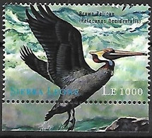 Sierra Leone - MNH ** 2000 :    Brown Pelican  -  Pelecanus Occidentalis - Pelicans