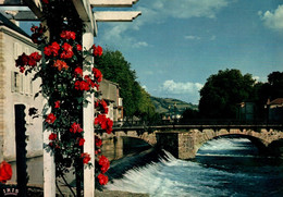 5151  Carte Postale  SAINT GIRONS   Le Salat     09 Ariège   (roses, Fleurs) - Saint Girons