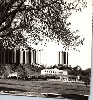 83 / NANS LES PINS / AIR PUR / LE PREVENTORIUM / CAUJOLLE - Nans-les-Pins