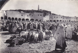 AFRIQUE DU NORD,ALGERIE,ALGERIA,MAGHREB,GHARDAIA,CARTE PHOTO COMBIER - Ghardaia