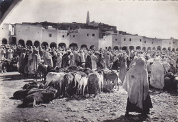 AFRIQUE DU NORD,ALGERIE,ALGERIA,MAGHREB,GHARDAIA,CARTE PHOTO COMBIER - Ghardaïa
