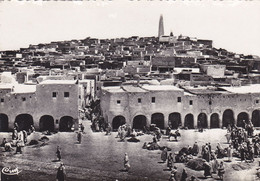 AFRIQUE DU NORD,ALGERIE,ALGERIA,MAGHREB,GHARDAIA,CARTE PHOTO COMBIER - Ghardaia