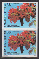 WALLIS & FUTUNA (1986) Flamboyants. Imperforate Pair. Scott No 332, Yvert No 336. - Sin Dentar, Pruebas De Impresión Y Variedades