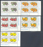 NORTHERN CYPRUS (1976) Fruits. Set Of 5 In Corner Blocks Of 4 Overprinted ORNEK (specimen). Scott Nos 32-6, - Altri & Non Classificati