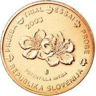 Slovénie, 2 Euro Cent, 2003, SPL, Copper Plated Steel - Privatentwürfe