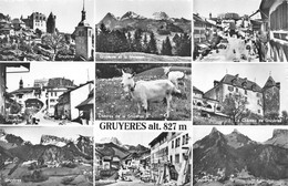 Gruyères - Chèvre - Vues Multiples - Gruyères