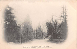 Entrée De DOULEVANT LE CHATEAU, Par Le Château - Doulevant-le-Château