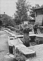 Fontaine Des Voûtes  Saint-Blaise Photo Jean-A. Nyfler    ( 10 X 15 Cm) - Saint-Blaise