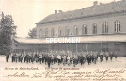 Une Leçon De Gymnastique Maison De Melle-lez-Gand - Melle - Melle