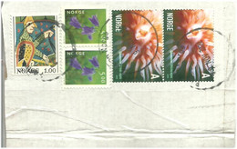 Norway Norge Cut From Cover With Five Stamps, Cancelled - Covers & Documents