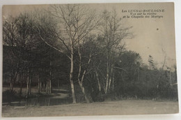 85 Les Lucs Sur Boulogne 1933 Vue Sur La Riviere Et La Chapelle Des Martyrs -dos Vert - Les Lucs Sur Boulogne