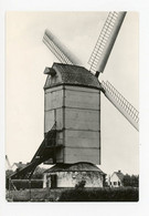 D562 - Zwevegem - Grote Kaart Ong 10x15 - Molen - Moulin - Mill - Mühle - - Zwevegem