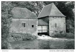 GROBBENDONK (Antw.) - Molen/moulin - De Watermolen Volop In Bedrijf D.d. 1989 (met De Oude Dakbekleding) - Grobbendonk