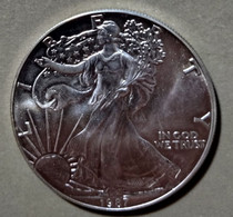 1987  - STATI UNITI  - 1 DOLLARO  - ARGENTO PURO -  FIOR DI CONIO - - 1979-1999: Anthony