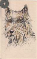 Très Belle Carte Postale Ancienne De Chien  SCOTTISH  TERRIER  Signée MB Cooper - Dogs