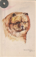 Très Belle Carte Postale Ancienne De Chien  LYON   Signée MB Cooper - Dogs